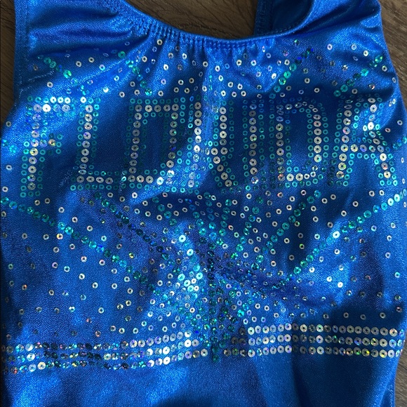 GK Shimmering Blue TEAM FLORIDA Leotard - Picture 2 of 4